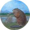 Beaver