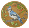 Bluejay