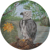 Harpie Eagle