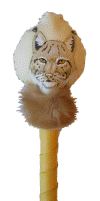 Lynx Rattle