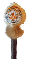 Tiger Rattle